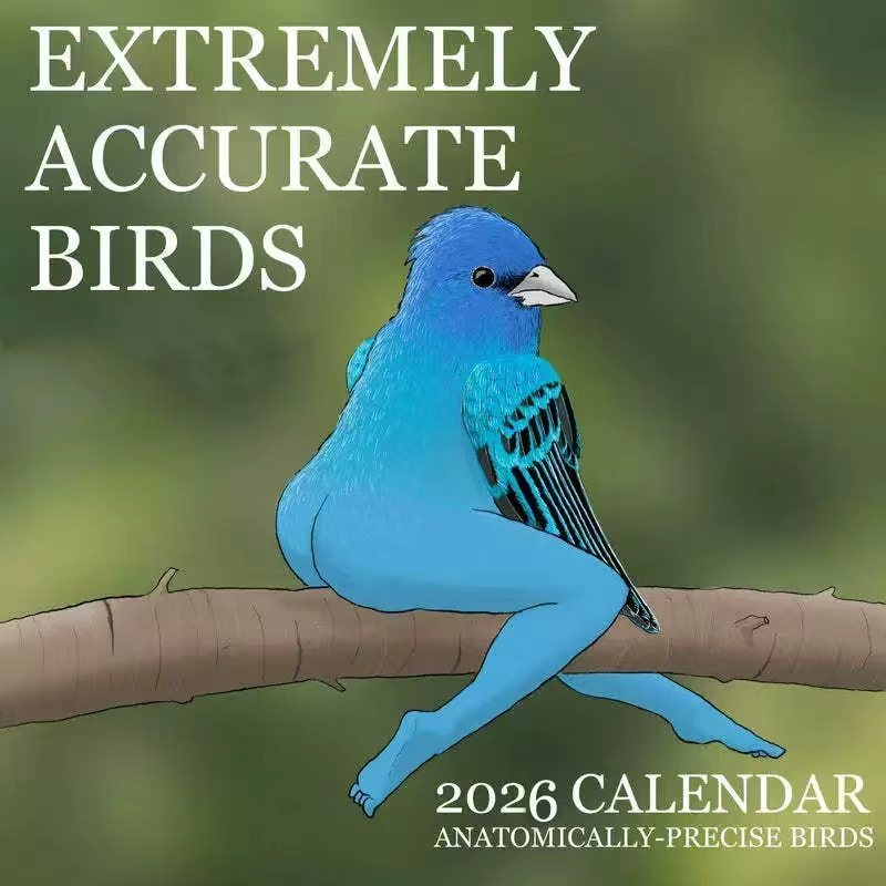 CALENDAR OF EXTREMELY ACCURATE - Home Decor Xmas Gifts 评论和价格