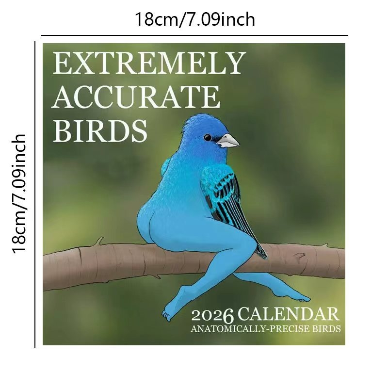 CALENDAR OF EXTREMELY ACCURATE - Home Decor Xmas Gifts 评论和价格