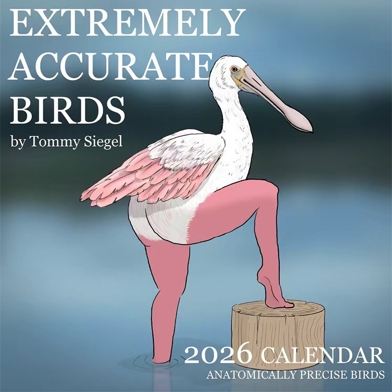 CALENDAR OF EXTREMELY ACCURATE - Home Decor Xmas Gifts 评论和价格