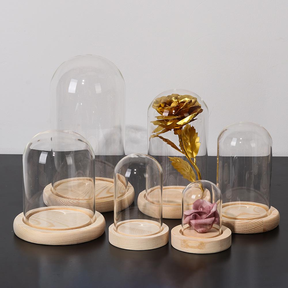 Home Decor Plants Jar Terrariu - Home Decor Flowers 评论和价格