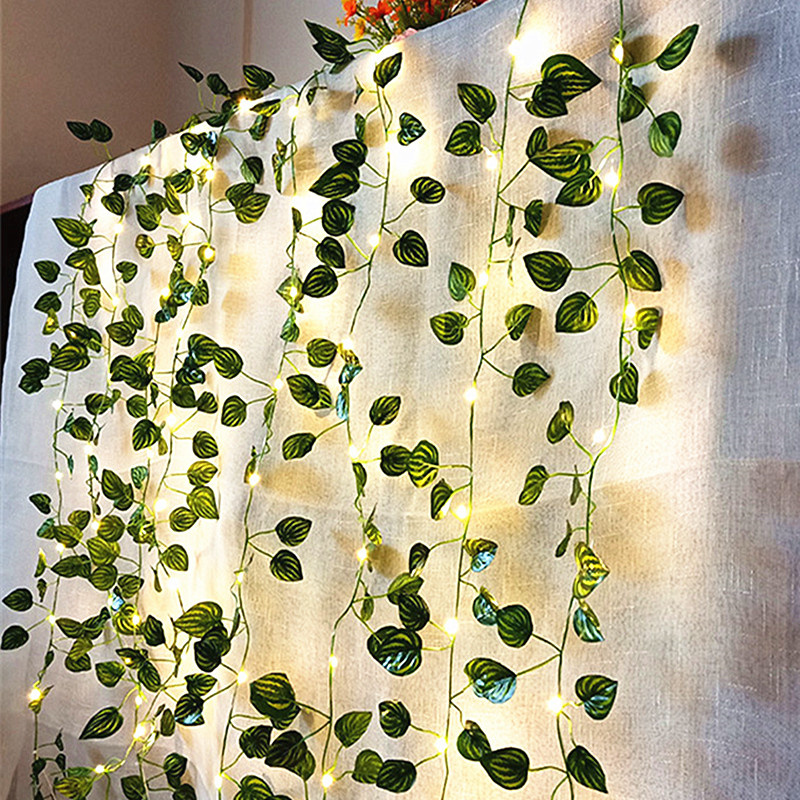 LED Wedding String Lights Batt - Fairy Lights Bedroom 评论和价格