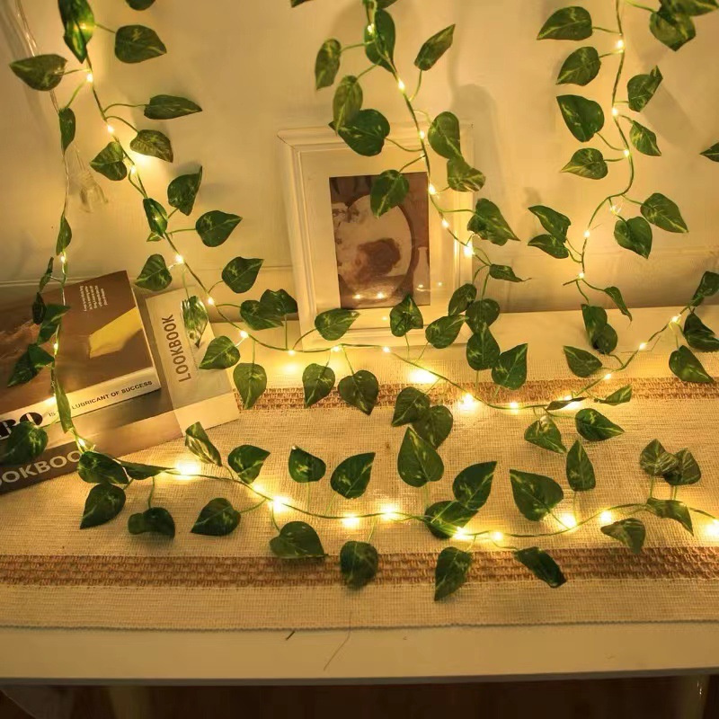 LED Wedding String Lights Batt - Fairy Lights Bedroom 评论和价格